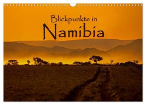 Blickpunkte in Namibia (Wandkalender 2024 DIN A3 quer), CALVENDO Monatskalender von Schütter,  Stefan