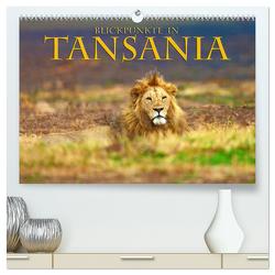 Blickpunkte Tansanias (hochwertiger Premium Wandkalender 2024 DIN A2 quer), Kunstdruck in Hochglanz von Schütter,  Stefan