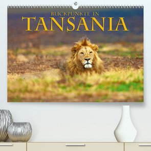 Blickpunkte Tansanias (Premium, hochwertiger DIN A2 Wandkalender 2021, Kunstdruck in Hochglanz) von Schütter,  Stefan