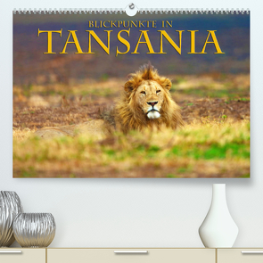 Blickpunkte Tansanias (Premium, hochwertiger DIN A2 Wandkalender 2023, Kunstdruck in Hochglanz) von Schütter,  Stefan