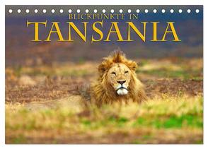 Blickpunkte Tansanias (Tischkalender 2024 DIN A5 quer), CALVENDO Monatskalender von Schütter,  Stefan
