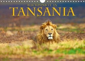 Blickpunkte Tansanias (Wandkalender 2018 DIN A4 quer) von N.,  N.