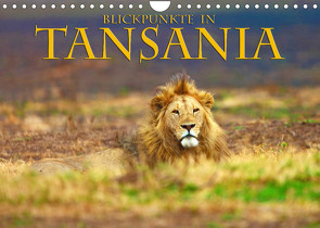 Blickpunkte Tansanias (Wandkalender 2022 DIN A4 quer) von Schütter,  Stefan