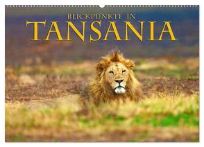 Blickpunkte Tansanias (Wandkalender 2024 DIN A2 quer), CALVENDO Monatskalender von Schütter,  Stefan