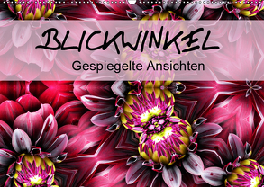 Blickwinkel – gespiegelte Ansichten (Wandkalender 2019 DIN A2 quer) von Yles.Photo.Art