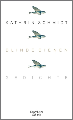 Blinde Bienen von Schmidt,  Kathrin