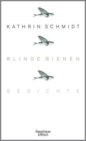 Blinde Bienen von Schmidt,  Kathrin