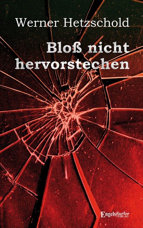 Bloß nicht hervorstechen von Hetzschold,  Werner