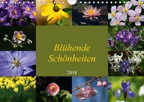 Blühende Schönheiten 2018 (Wandkalender 2018 DIN A4 quer) von Hebgen,  Peter