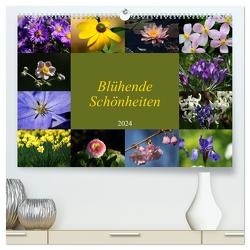 Blühende Schönheiten 2024 (hochwertiger Premium Wandkalender 2024 DIN A2 quer), Kunstdruck in Hochglanz von Hebgen,  Peter