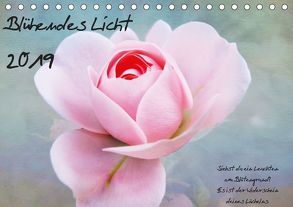 Blühendes Licht (Tischkalender 2019 DIN A5 quer) von Walter,  Hannelore