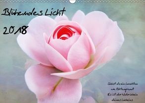 Blühendes Licht (Wandkalender 2018 DIN A3 quer) von Walter,  Hannelore
