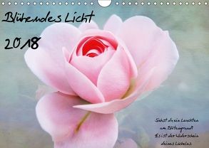Blühendes Licht (Wandkalender 2018 DIN A4 quer) von Walter,  Hannelore