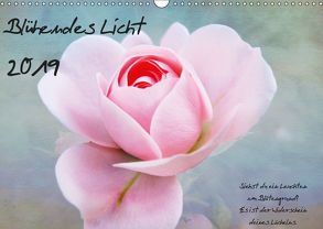 Blühendes Licht (Wandkalender 2019 DIN A3 quer) von Walter,  Hannelore