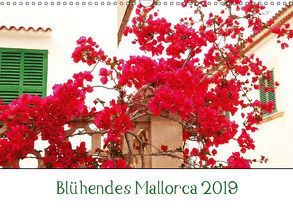 Blühendes Mallorca 2019 (Wandkalender 2019 DIN A3 quer) von May,  Ela