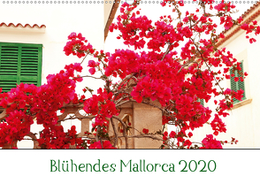 Blühendes Mallorca 2020 (Wandkalender 2020 DIN A2 quer) von May,  Ela