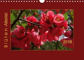 Blüten-Allerlei (Wandkalender 2018 DIN A4 quer) von Keller,  Angelika
