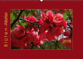 Blüten-Allerlei (Wandkalender 2019 DIN A2 quer) von Keller,  Angelika