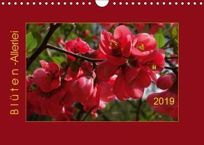 Blüten-Allerlei (Wandkalender 2019 DIN A4 quer) von Keller,  Angelika