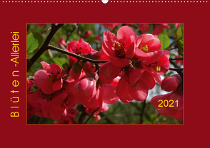 Blüten-Allerlei (Wandkalender 2021 DIN A2 quer) von Keller,  Angelika