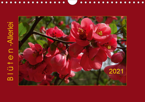 Blüten-Allerlei (Wandkalender 2021 DIN A4 quer) von Keller,  Angelika