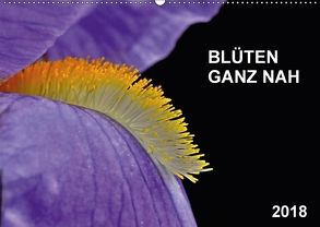Blüten ganz nah (Wandkalender 2018 DIN A2 quer) von Bauer,  Friedhelm