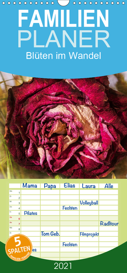 Blüten im Wandel – Familienplaner hoch (Wandkalender 2021 , 21 cm x 45 cm, hoch) von Beuck,  Angelika