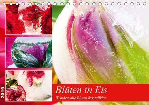Blüten in Eis (Tischkalender 2019 DIN A5 quer) von Heiligenstein,  Marc