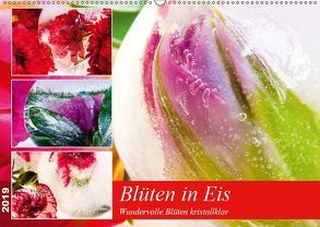 Blüten in Eis (Wandkalender 2019 DIN A2 quer) von Heiligenstein,  Marc