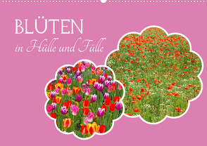 Blüten – in Hülle und Fülle (Wandkalender 2024 DIN A2 quer), CALVENDO Monatskalender von Schittenhelm,  Elisabeth