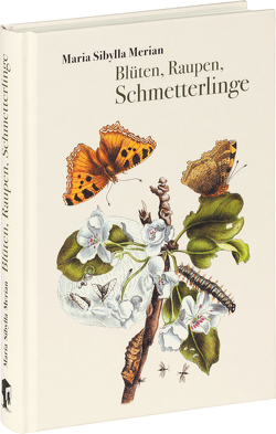 Blüten, Raupen, Schmetterlinge von Ell,  Renate, Merian,  Maria Sibylla
