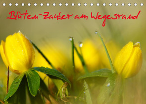 Blüten-Zauber am Wegesrand 2022 (Tischkalender 2022 DIN A5 quer) von Klapp,  Lutz