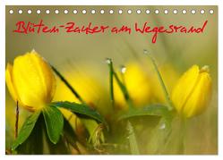Blüten-Zauber am Wegesrand 2024 (Tischkalender 2024 DIN A5 quer), CALVENDO Monatskalender von Klapp,  Lutz