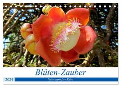 Blüten-Zauber – Naturparadies Kuba (Tischkalender 2024 DIN A5 quer), CALVENDO Monatskalender von von Loewis of Menar,  Henning