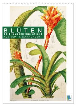Blüten: Zeichnungen und Stiche aus dem 19. Jahrhundert (Wandkalender 2024 DIN A2 hoch), CALVENDO Monatskalender von CALVENDO,  CALVENDO
