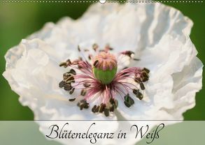 Blüteneleganz in Weiß (Wandkalender 2019 DIN A2 quer) von Kruse,  Gisela