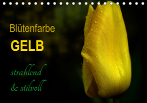 Blütenfarbe GELB (Tischkalender 2021 DIN A5 quer) von Weizel,  Evira