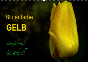 Blütenfarbe GELB (Wandkalender 2021 DIN A2 quer) von Weizel,  Evira
