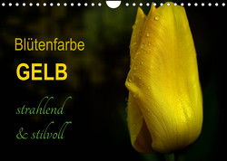 Blütenfarbe GELB (Wandkalender 2022 DIN A4 quer) von Weizel,  Evira
