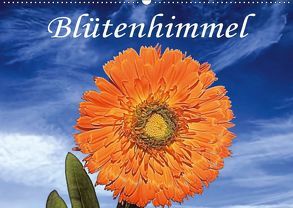Blütenhimmel (Wandkalender 2019 DIN A2 quer) von Grabnar,  Frank