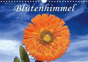 Blütenhimmel (Wandkalender 2019 DIN A4 quer) von Grabnar,  Frank