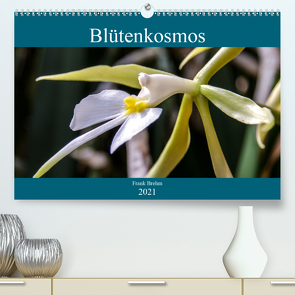 Blütenkosmos (Premium, hochwertiger DIN A2 Wandkalender 2021, Kunstdruck in Hochglanz) von Brehm - frankolor.de,  Frank