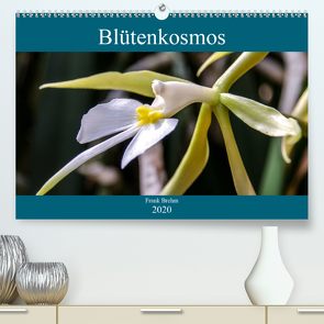 Blütenkosmos (Premium, hochwertiger DIN A2 Wandkalender 2020, Kunstdruck in Hochglanz) von Brehm - frankolor.de,  Frank