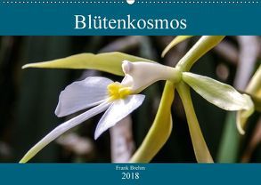 Blütenkosmos (Wandkalender 2018 DIN A2 quer) von Brehm - frankolor.de,  Frank