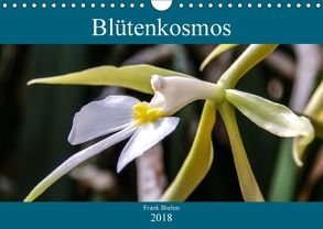 Blütenkosmos (Wandkalender 2018 DIN A4 quer) von Brehm - frankolor.de,  Frank