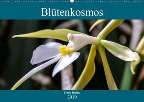 Blütenkosmos (Wandkalender 2019 DIN A2 quer) von Brehm - frankolor.de,  Frank
