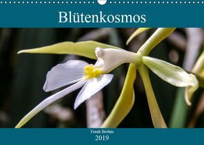 Blütenkosmos (Wandkalender 2019 DIN A3 quer) von Brehm - frankolor.de,  Frank