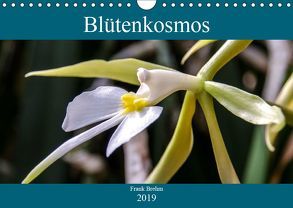Blütenkosmos (Wandkalender 2019 DIN A4 quer) von Brehm - frankolor.de,  Frank