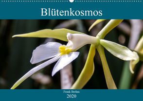 Blütenkosmos (Wandkalender 2020 DIN A2 quer) von Brehm - frankolor.de,  Frank