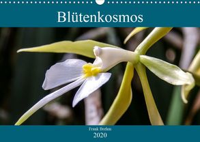 Blütenkosmos (Wandkalender 2020 DIN A3 quer) von Brehm - frankolor.de,  Frank